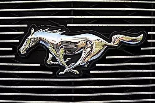 車(chē)標(biāo)上的動(dòng)物都是啥來(lái)頭？看完又能出去裝X了