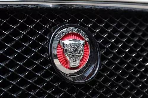 車(chē)標(biāo)上的動(dòng)物都是啥來(lái)頭？看完又能出去裝X了