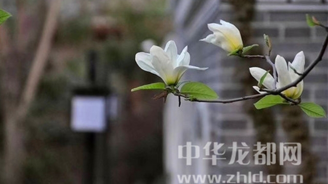 淮陽(yáng)蓮舍，多了一份味道