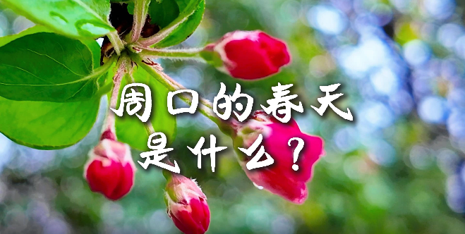 周口的春天，待你慢慢遇見